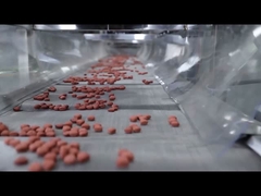 Volledig automatische CE-certificaat Extruder voor hondenvoeding