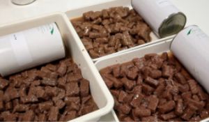 Professionele diervoederverwerkingslijn / machines voor diervoeder