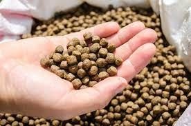 Automatische machine voor de verwerking van zwevende visvoederpellets