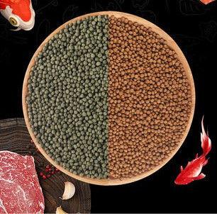 Automatische 500kg/H Dubbele Schroef Drijvende Visvoer Machine