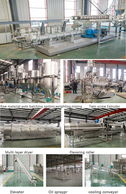 Ss 304 Dual Screw Pet Food Processing Line Automatisch